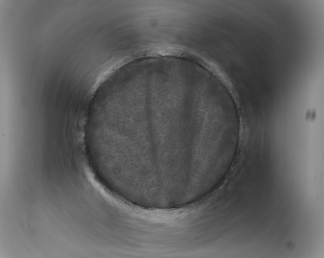 X0000111120010200907211101