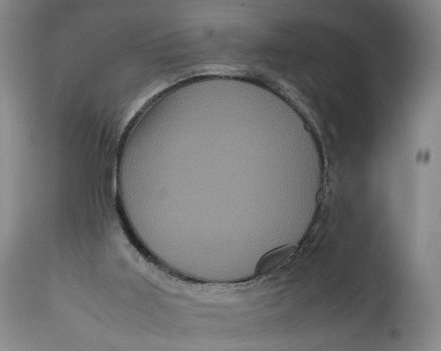 X0000111120011200907211101