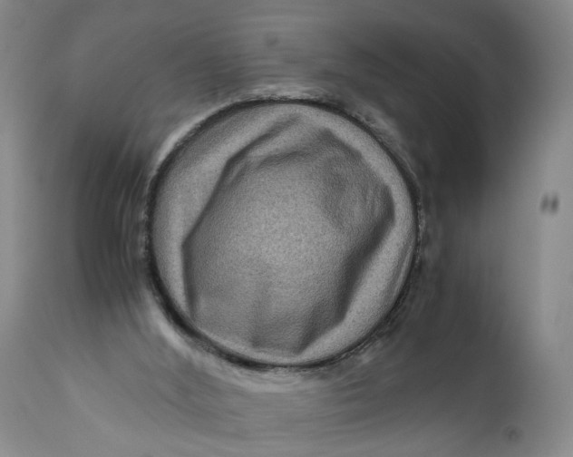 X0000111120012200907211101