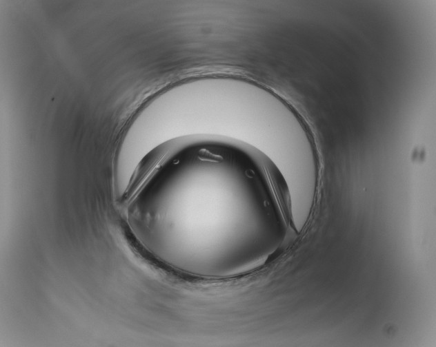 X0000111120013200907211100