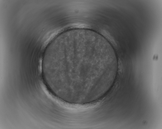 X0000111120014200907211100