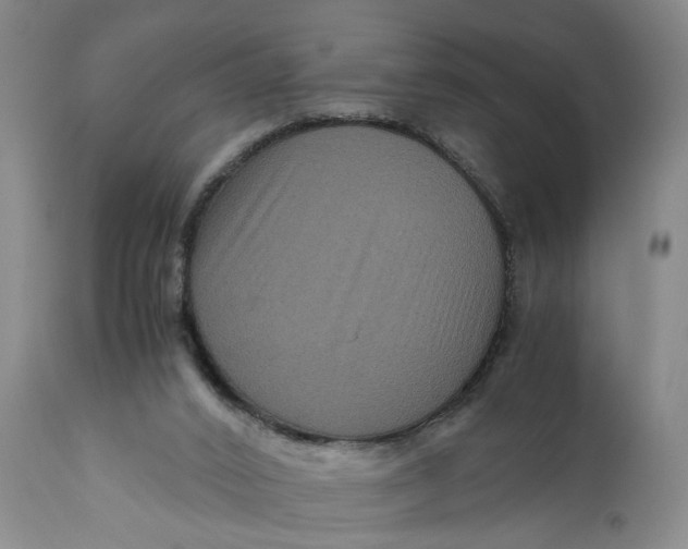 X0000111120016200907211100