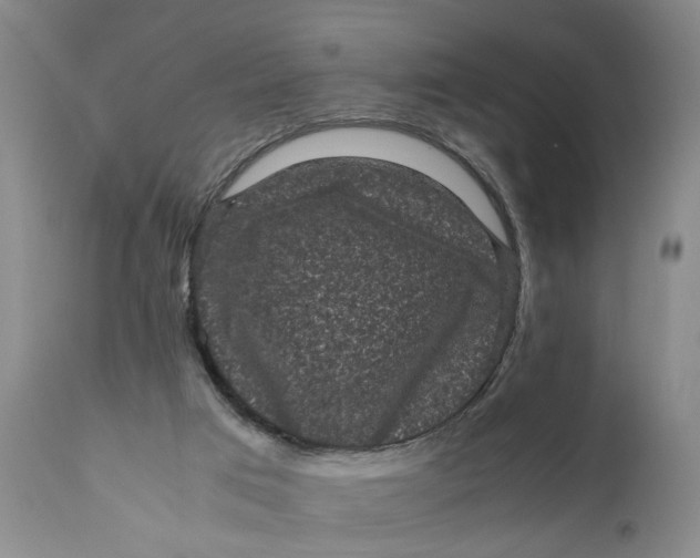 X0000111120017200907211100