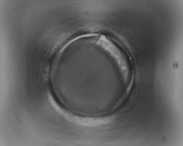 X0000111120018200907211100
