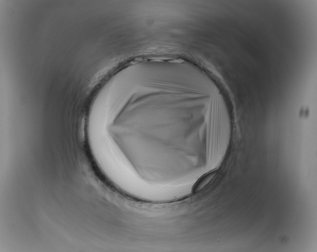 X0000111120019200907211100