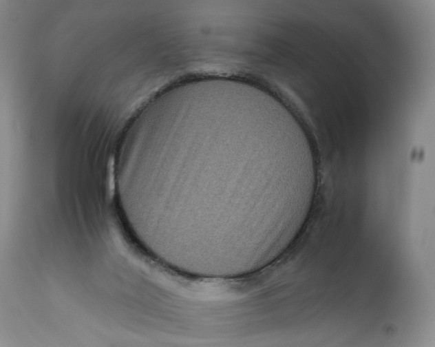 X0000111120020200907211100