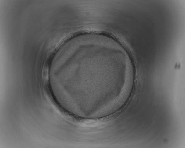 X0000111120021200907211100