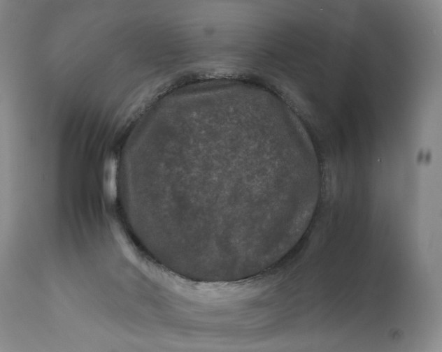 X0000111120022200907211100