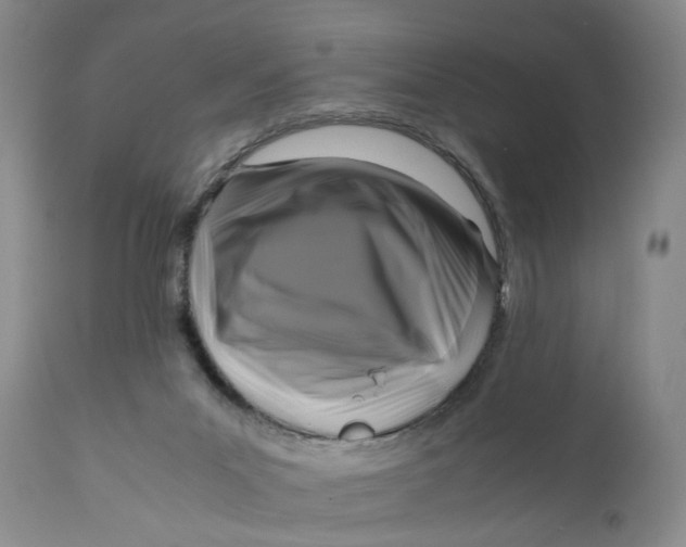 X0000111120023200907211100