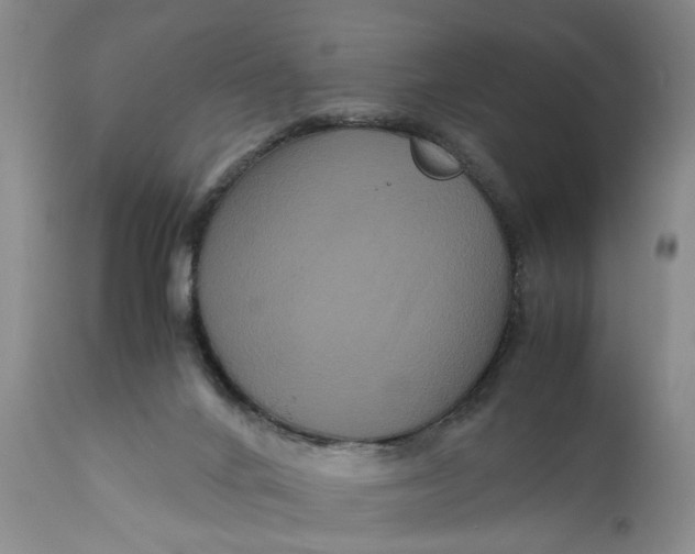 X0000111120024200907211100