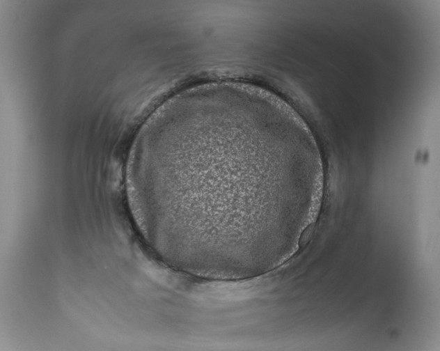 X0000111120025200907211100