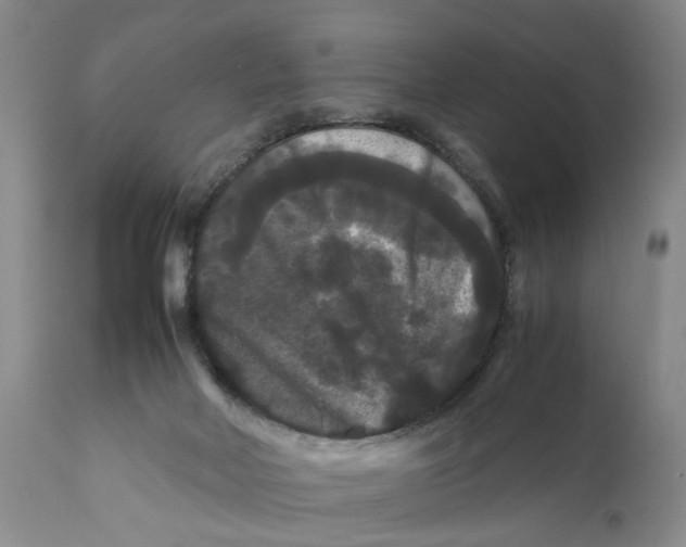 X0000111120026200907211100
