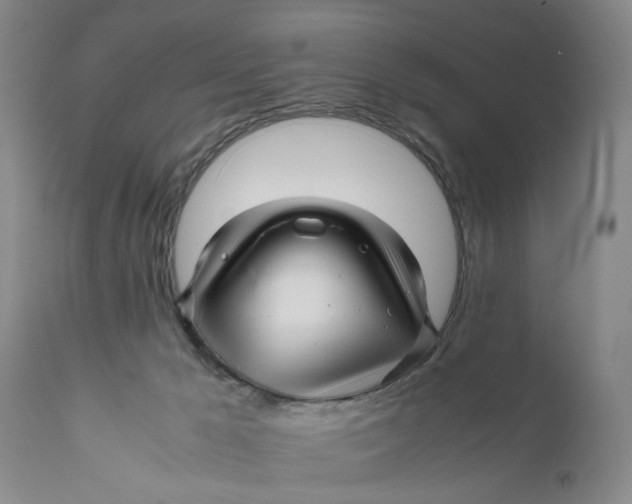 X0000111120029200907211100