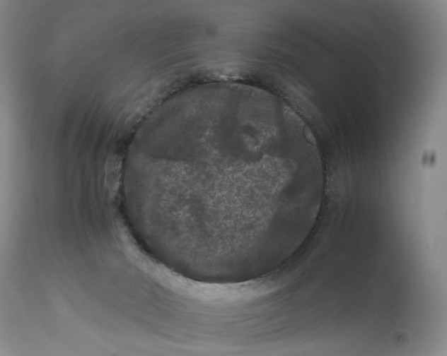 X0000111120030200907211100
