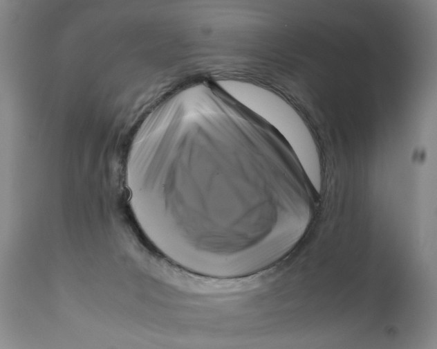 X0000111120031200907211100
