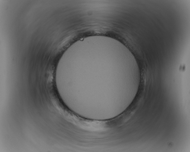 X0000111120032200907211100