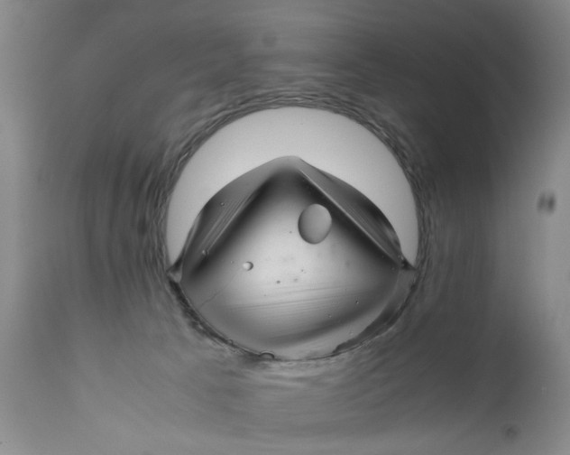 X0000111120033200907211100