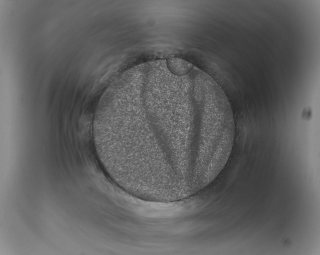 X0000111120034200907211100
