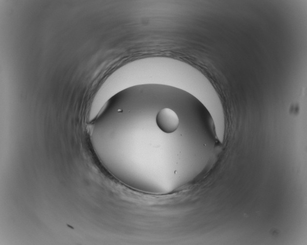 X0000111120035200907211100