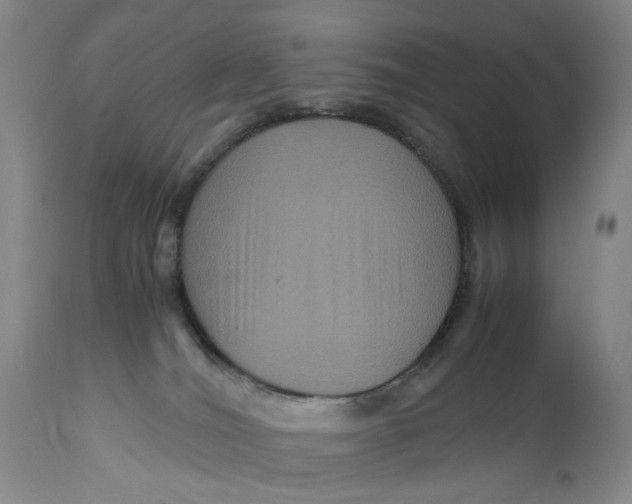 X0000111120036200907211100