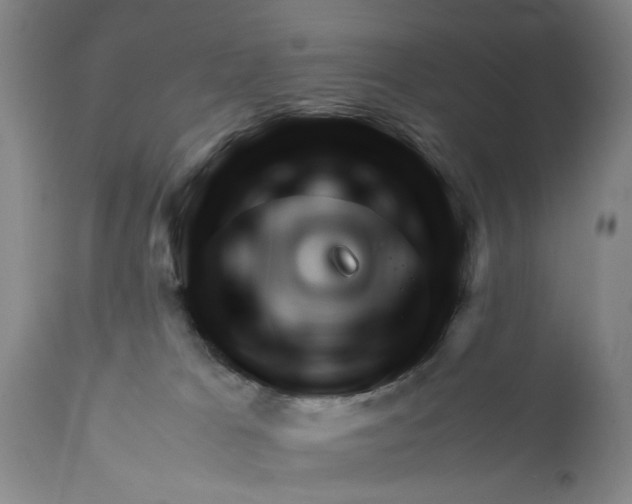 X0000111120037200907211100