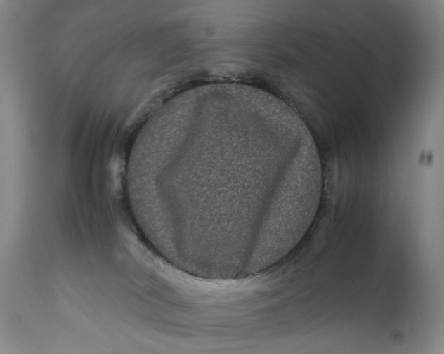 X0000111120038200907211100