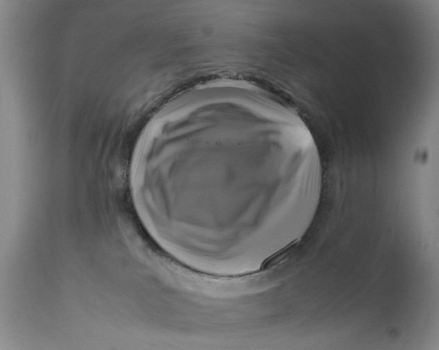 X0000111120039200907211100