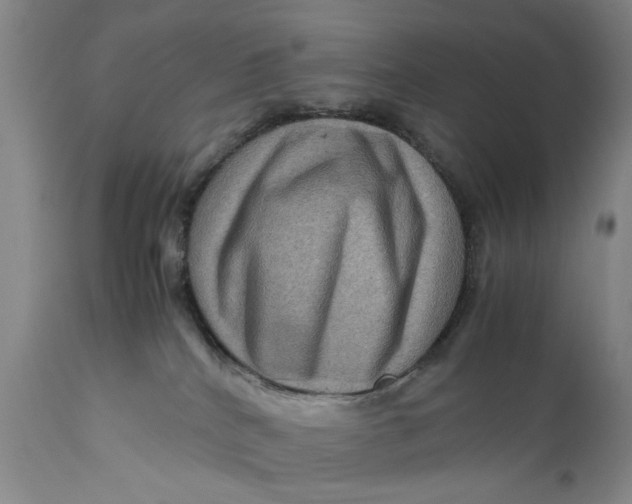 X0000111120040200907211100