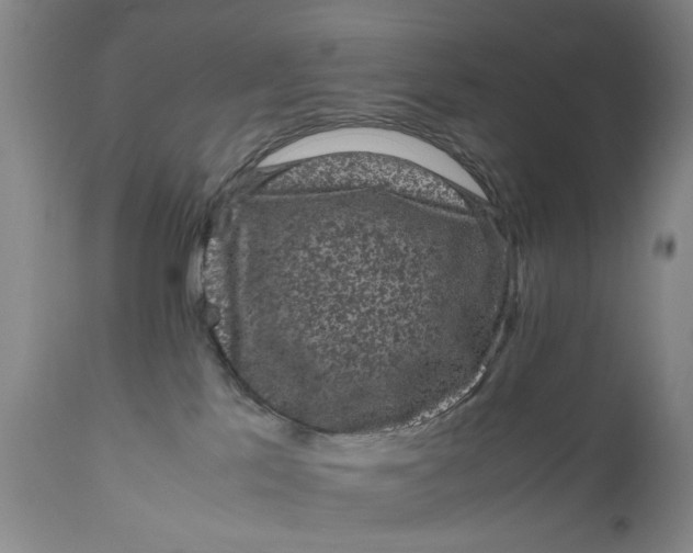 X0000111120041200907211100