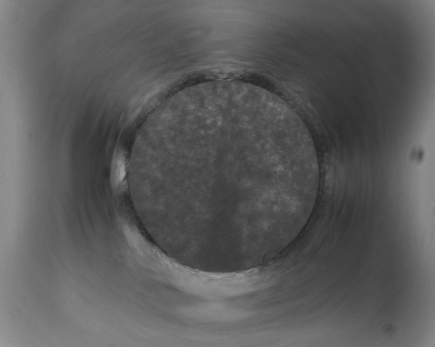 X0000111120042200907211100