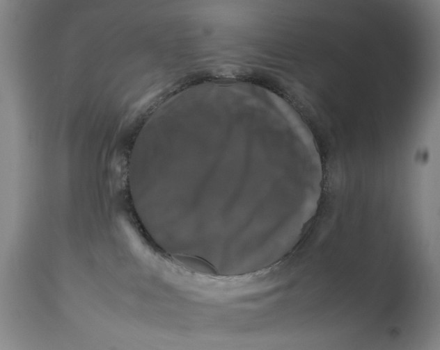 X0000111120043200907211100
