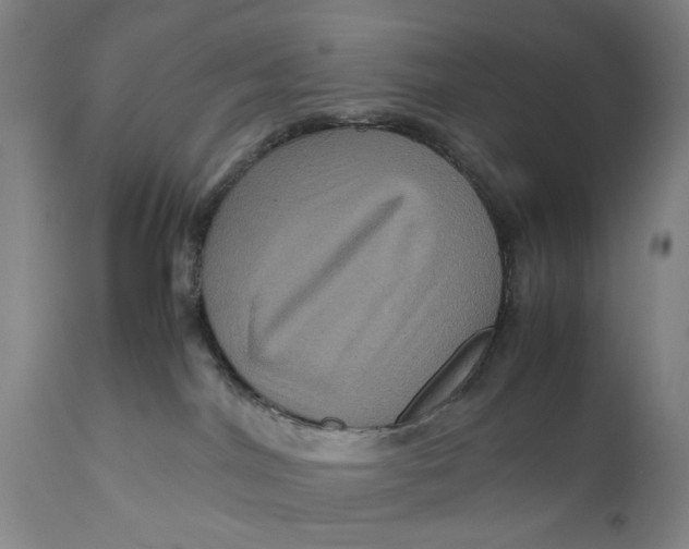 X0000111120044200907211100
