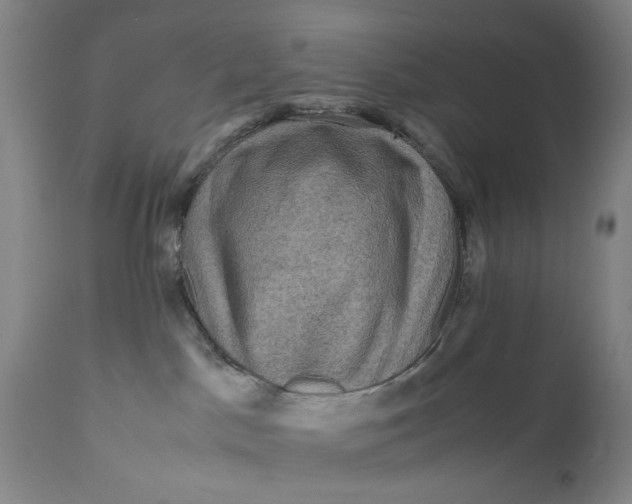 X0000111120045200907211100