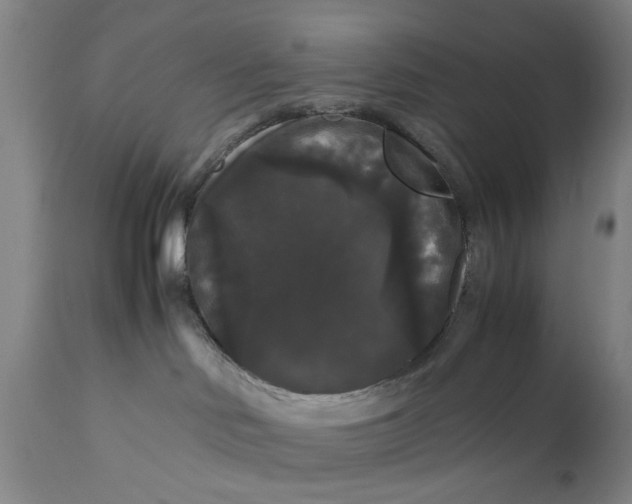 X0000111120046200907211100