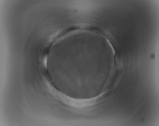 X0000111120047200907211100
