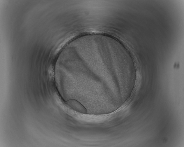 X0000111120048200907211100