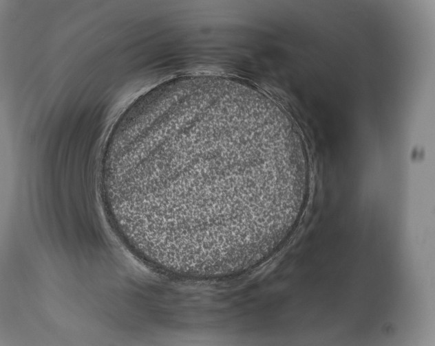 X0000111120049200907211059
