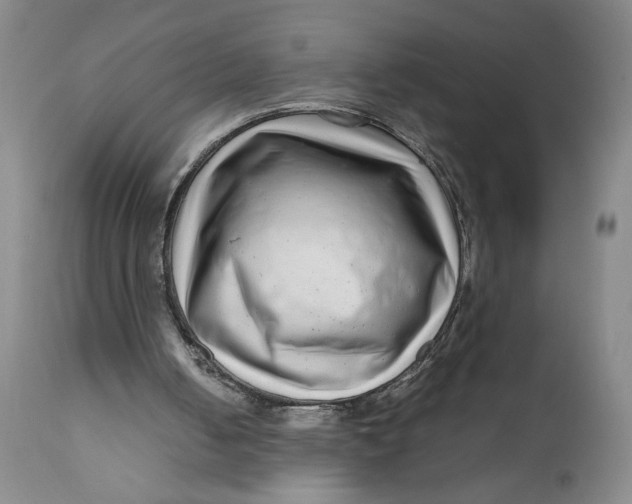 X0000111120050200907211059