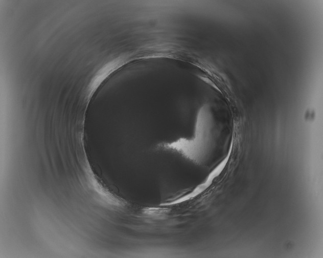 X0000111120051200907211059