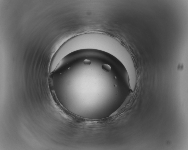 X0000111120052200907211059