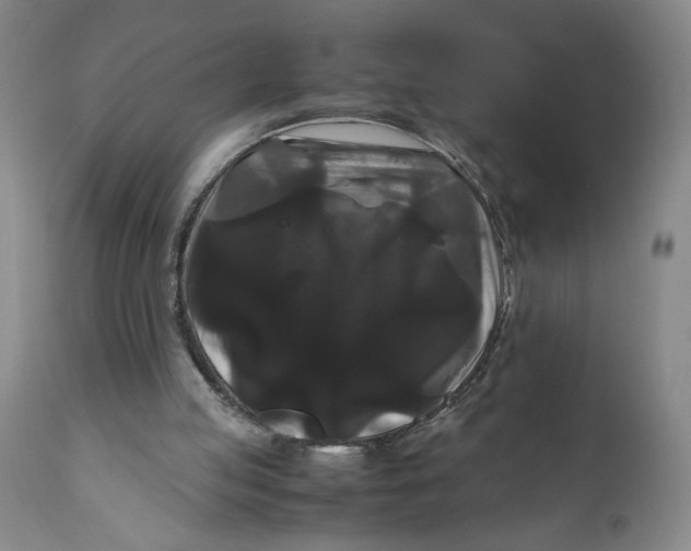 X0000111120053200907211059
