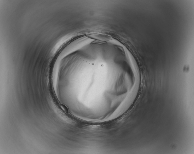 X0000111120054200907211059