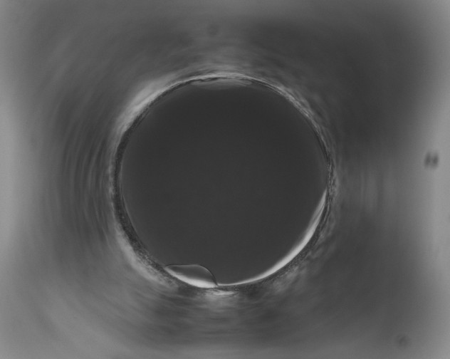 X0000111120055200907211059