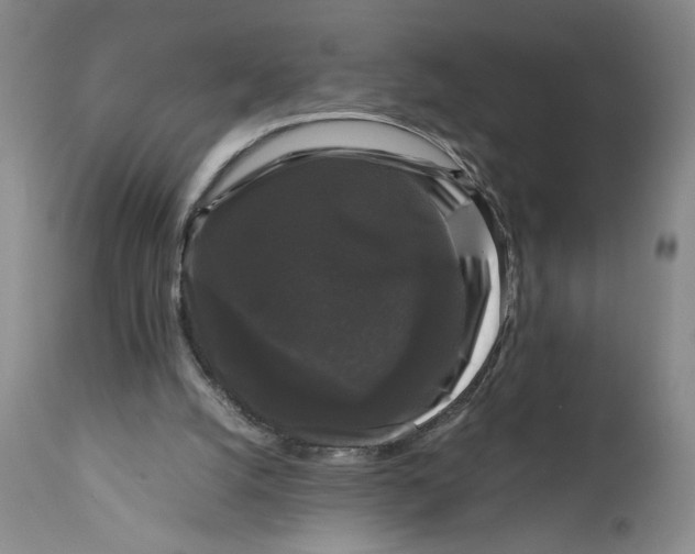 X0000111120056200907211059