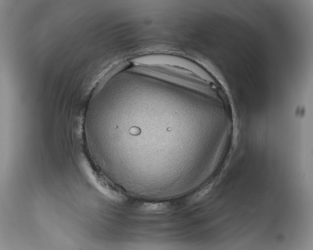 X0000111120057200907211059