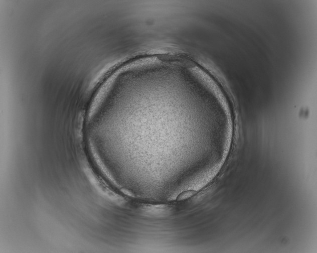 X0000111120058200907211059