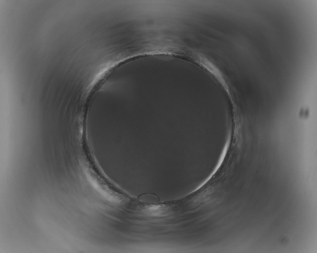 X0000111120059200907211059