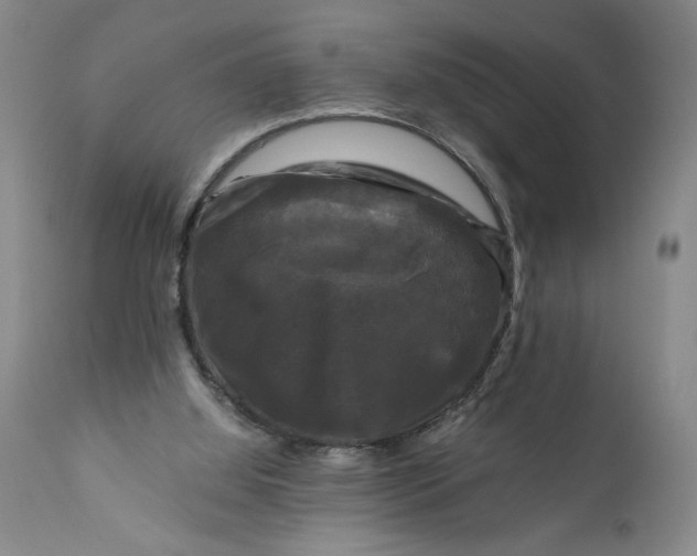 X0000111120060200907211059