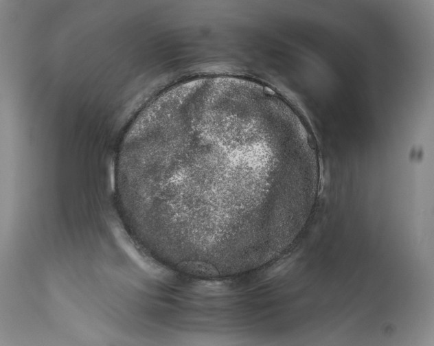 X0000111120061200907211100