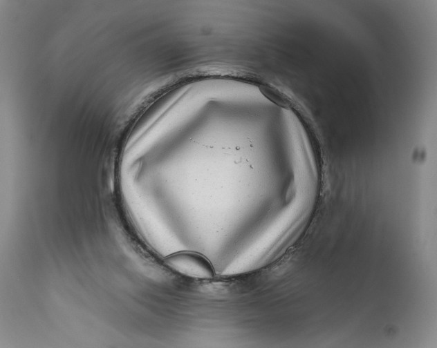 X0000111120062200907211100